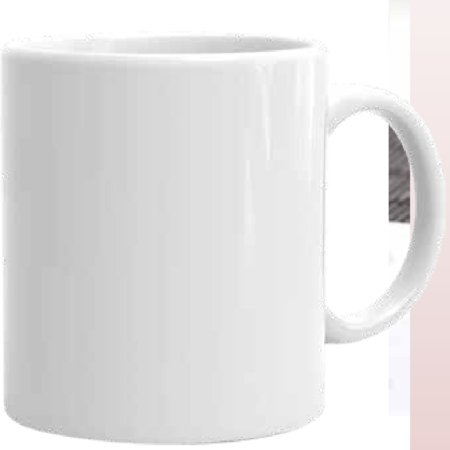 Vacuum Insulated Mug