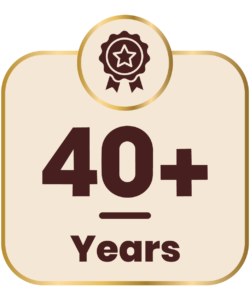 icon web-01