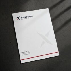 Letter Head